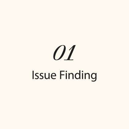 01 Issue Finding